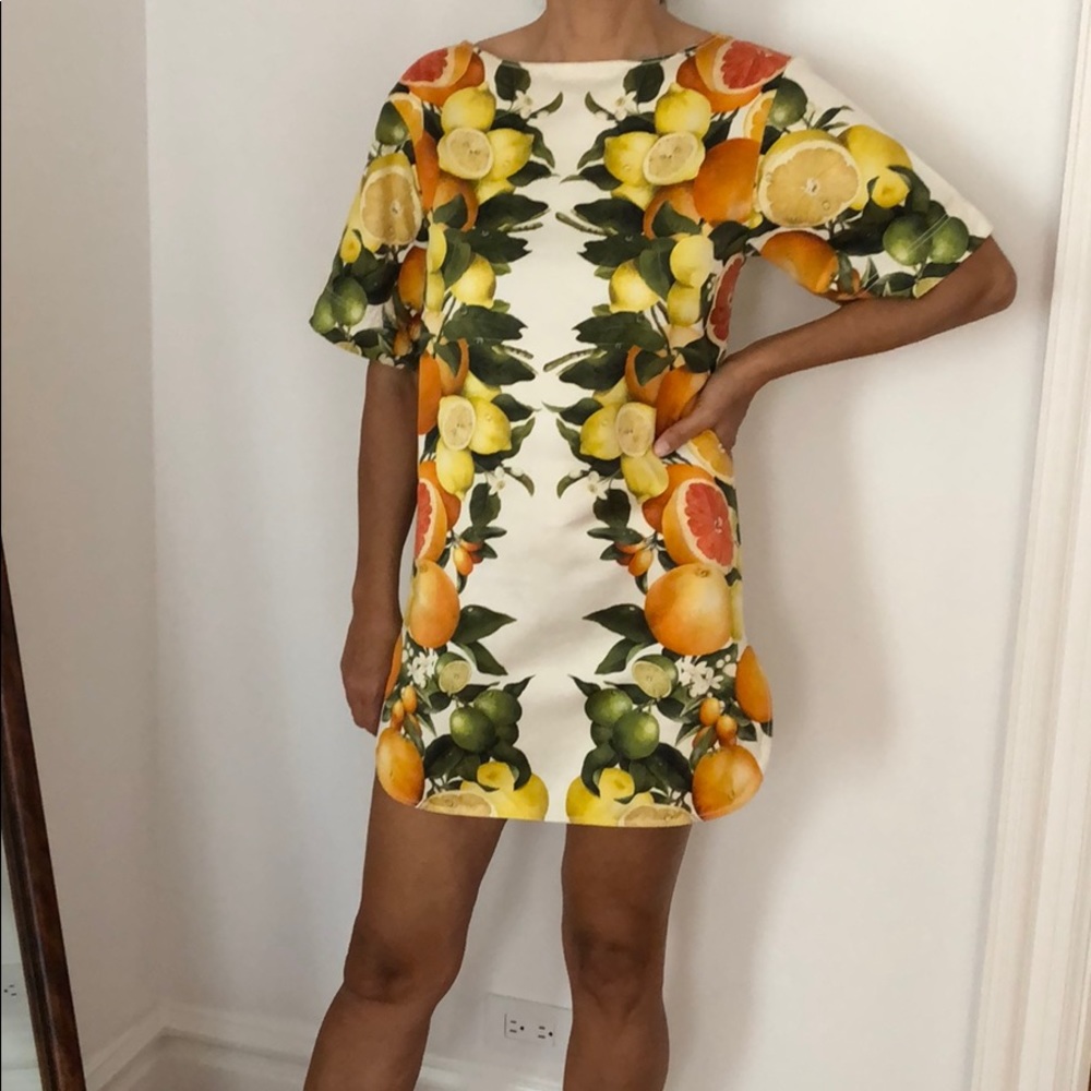Stella McCartney Runway Citrus Print Dress